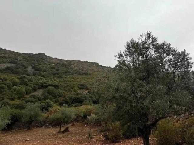 Terreno en venta en Cabeza Del Buey, Extremadura