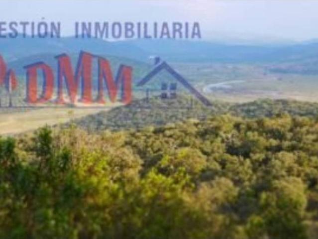 Terreno en venta en Cabeza Del Buey