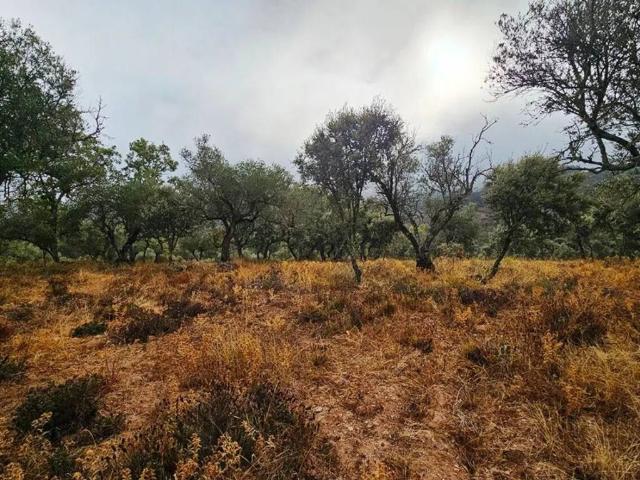 Terreno en venta en Cabeza La Vaca, Extremadura