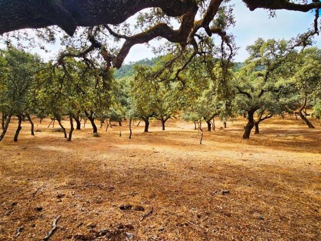 Terreno en venta en Cabeza La Vaca