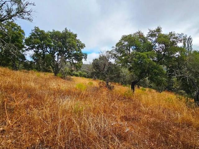 Terreno en venta en Cabeza La Vaca