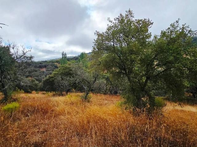 Terreno en venta en Cabeza La Vaca, Extremadura