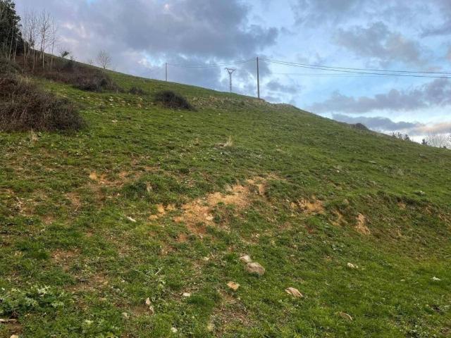Terreno en venta en Cabezón De La Sal, Cantabria
