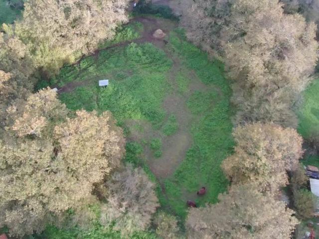 Terreno en venta en Cabezón De La Sal, Cantabria