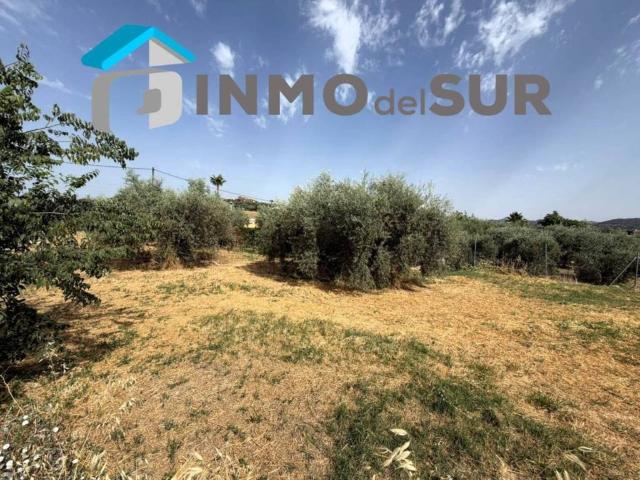 Terreno en venta en Cabra, Andalucía