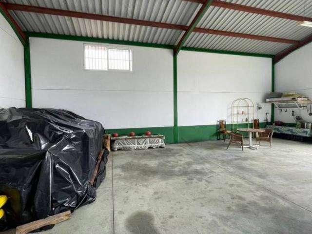 Terreno en venta en Cabra, Andalucía