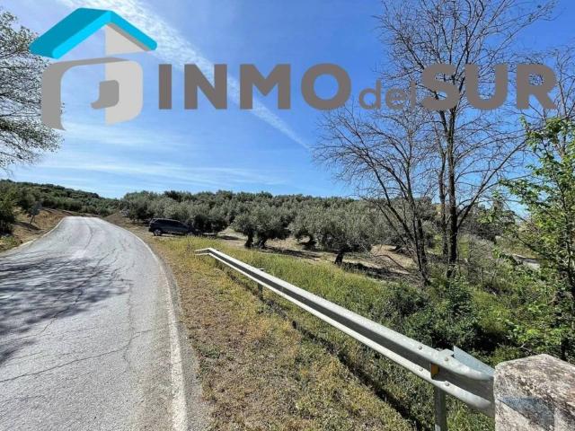 Terreno en venta en Cabra, Andalucía