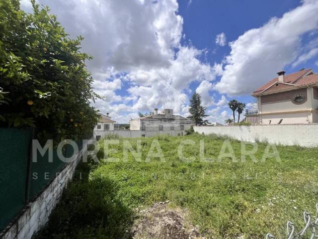 Terreno en venta en Cabra, Andalucía