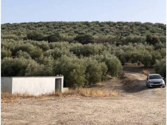 Terreno en venta en Cabra, Andalucía