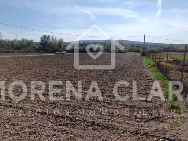 Terreno en venta en Cabra, Andalucía