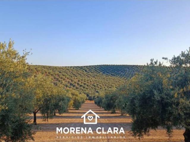 Terreno en venta en Cabra, Andalucía