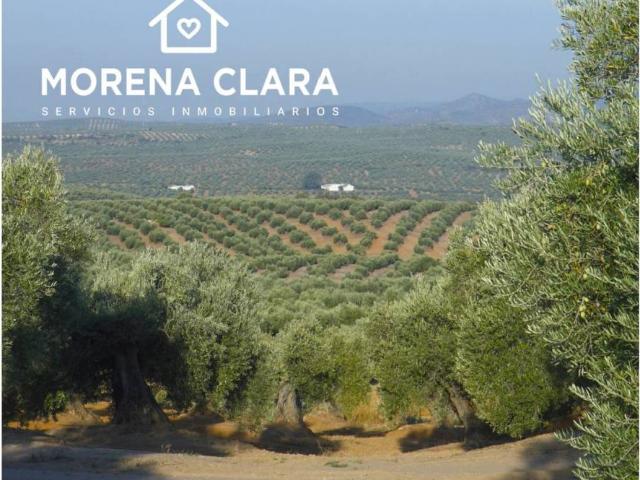 Terreno en venta en Cabra, Andalucía