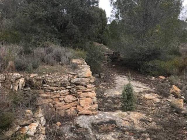 Terreno en venta en Alt Camp, Catalunya