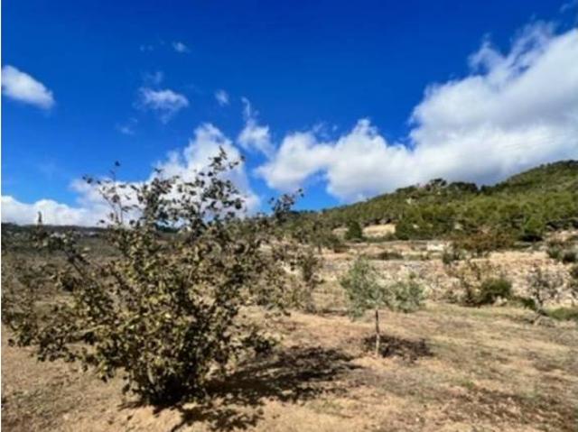 Terreno en venta en Alt Camp, Catalunya