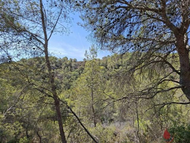 Terreno en venta en Alt Camp, Catalunya