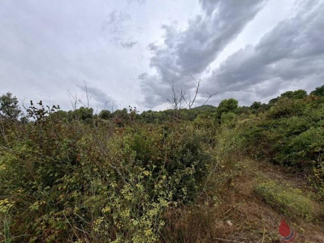 Terreno en venta en Alt Camp, Catalunya