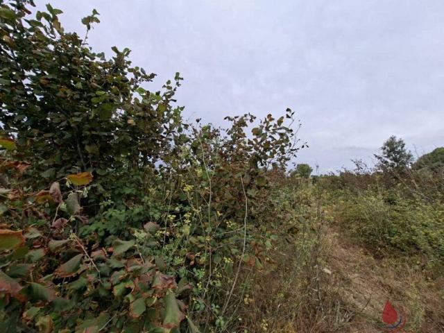 Terreno en venta en Alt Camp, Catalunya