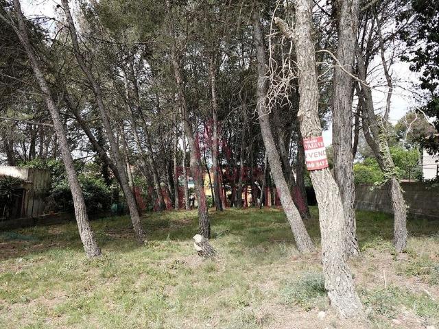 Terreno en venta en Cabra del Camp, Tarragona