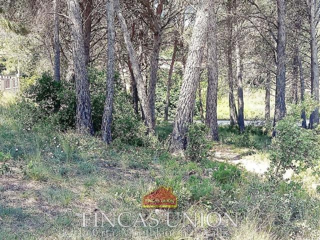 Terreno en venta en Alt Camp, Catalunya