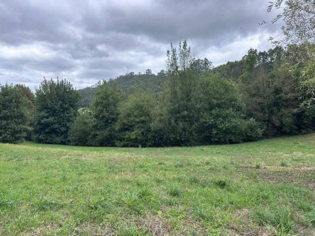 Terreno en venta en Cabrales, Asturias