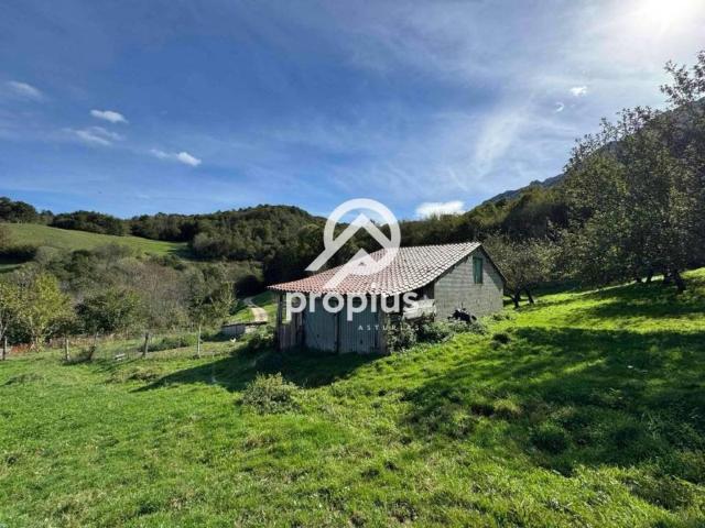 Terreno en venta en Cabrales, Asturias
