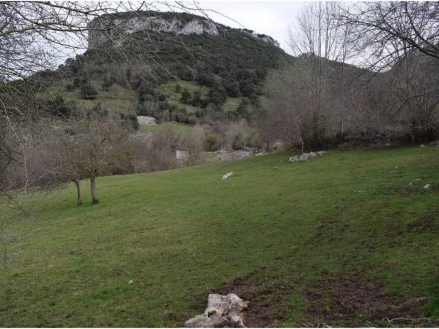Terreno en venta en Cabrales, Asturias