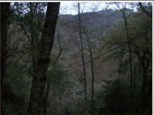 Terreno en venta en Fresnéu, Cabranes