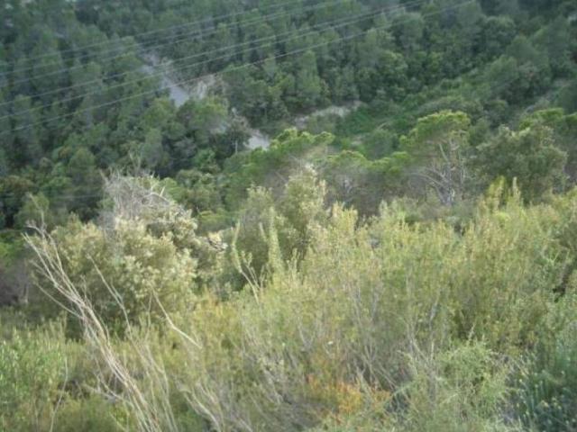 Terreno en venta en Anoia, Catalunya