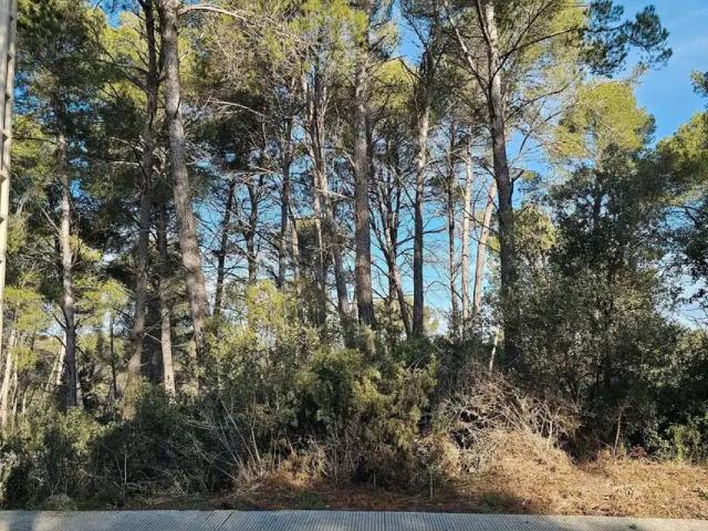 Terreno en venta en Castell de Cabrera, Anoia