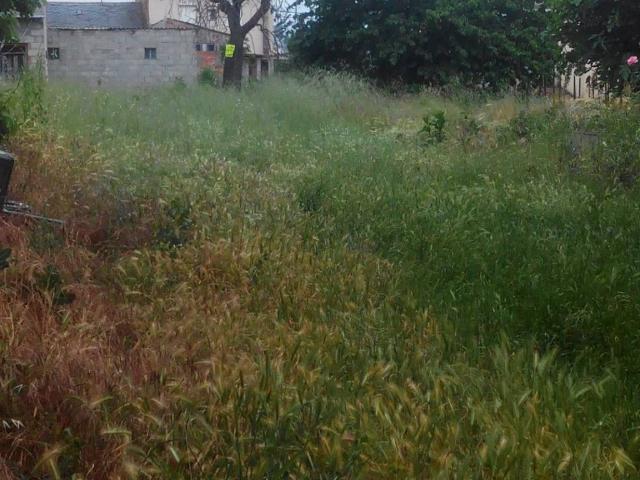 Terreno en venta en El Bierzo, Castilla y León