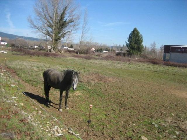 Terreno en venta en Cacabelos, León