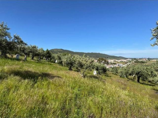 Terreno en venta en Aliseda, Extremadura
