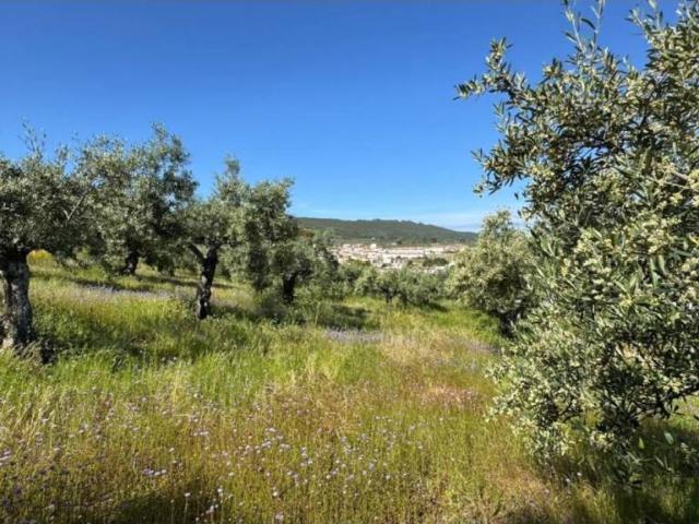 Terreno en venta en Aliseda, Extremadura