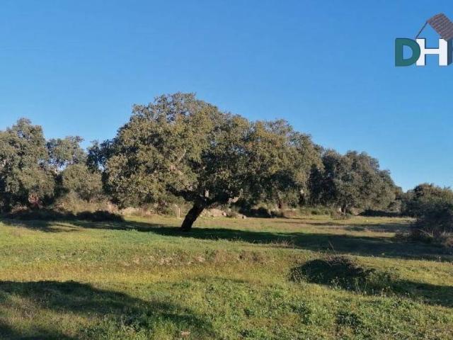 Terreno en venta en Cáceres, Extremadura