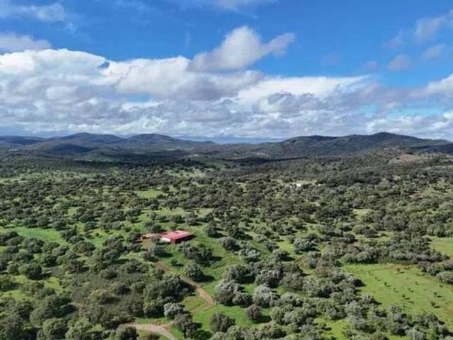 Terreno en venta en Cáceres