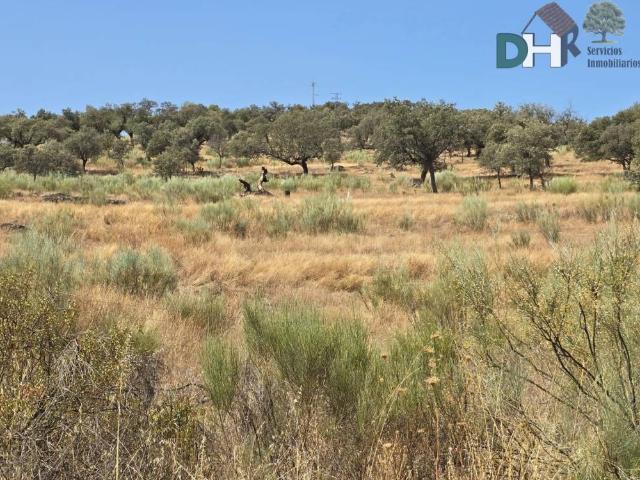 Terreno en venta en Cáceres, Extremadura