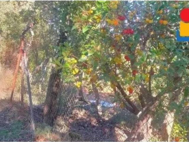 Terreno en venta en Cáceres, Extremadura