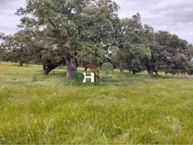 Terreno en venta en Cáceres