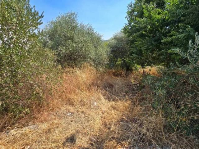 Terreno en venta en Aliseda, Extremadura