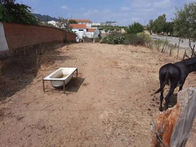 Terreno en venta en Aliseda, Extremadura