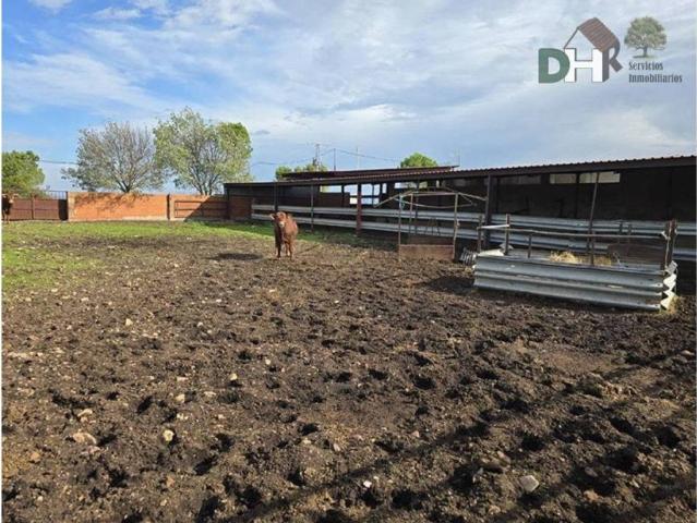 Terreno en venta en Cáceres