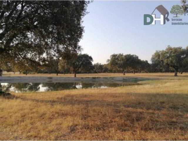 Terreno en venta en Cáceres, Extremadura
