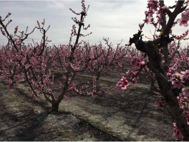 Terreno en venta en Cáceres, Extremadura