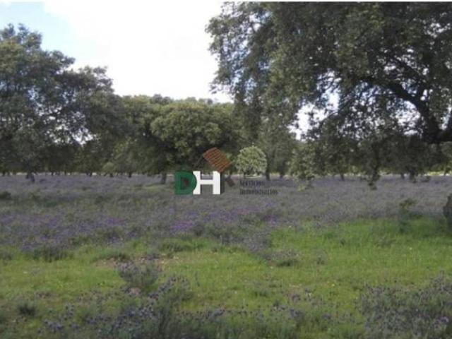 Terreno en venta en Cáceres, Extremadura