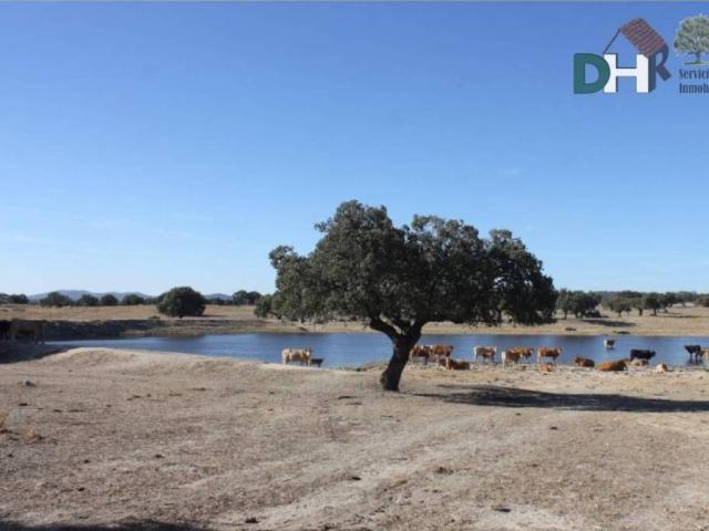 Terreno en venta en Cáceres, Extremadura
