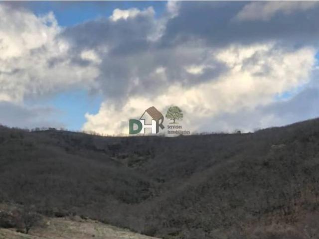 Terreno en venta en Cáceres, Extremadura