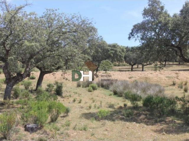Terreno en venta en Cáceres