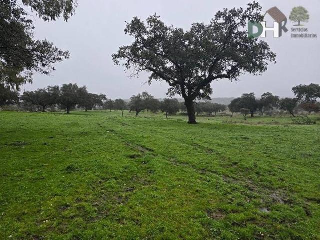 Terreno en venta en Cáceres, Extremadura