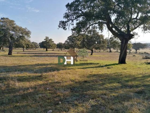 Terreno en venta en Cáceres, Extremadura