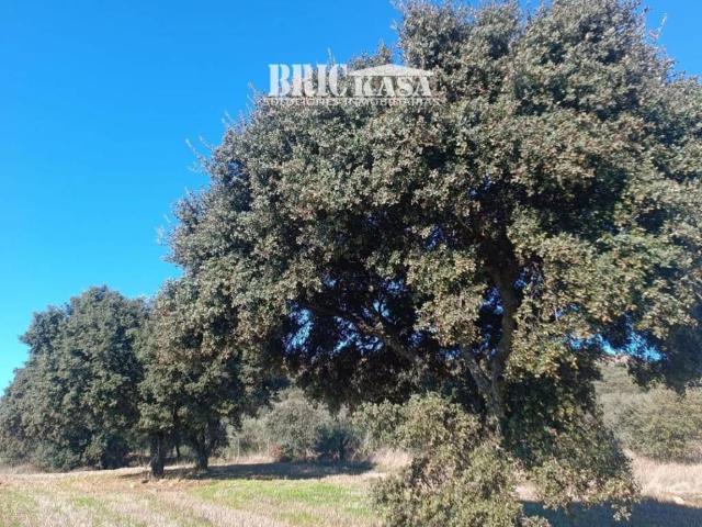 Terreno en venta en Cáceres - Sierra de Montánchez, Extremadura